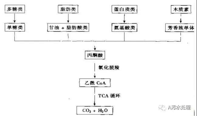 微信圖片_20171224012754.jpg